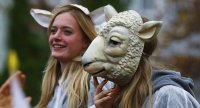 Angst vor neuen Übergriffen: Stadt in NRW sagt berühmten Karnevalszug ab